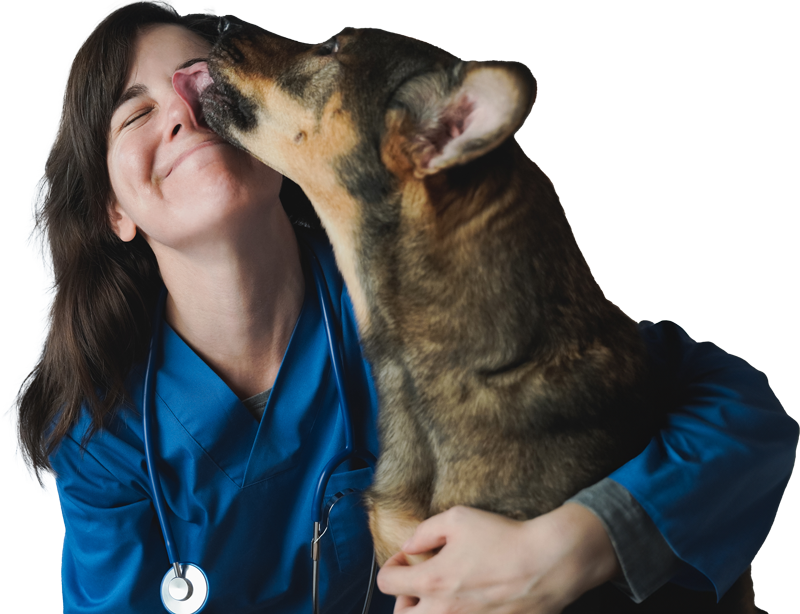 Female vet assistant in blue scrubs with happy dog