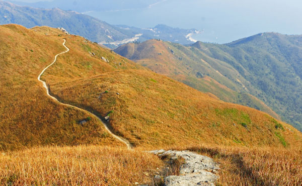 Train across mountain tops